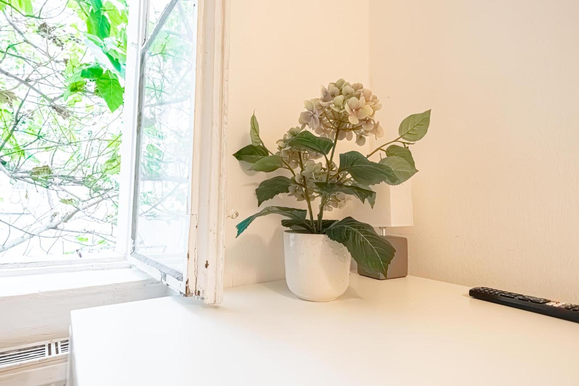 Central Belvedere 3Br Shared Apartment - 12 Min From City Center 维也纳 外观 照片